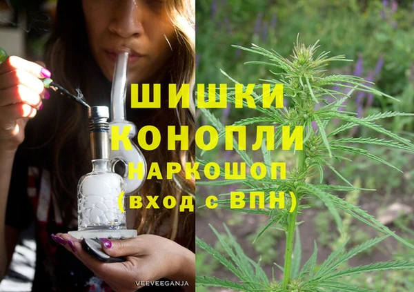 гашик Богородск