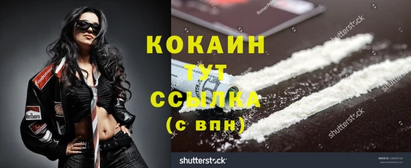 ГАЛЛЮЦИНОГЕННЫЕ ГРИБЫ Богданович
