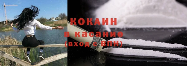 ГАЛЛЮЦИНОГЕННЫЕ ГРИБЫ Богданович