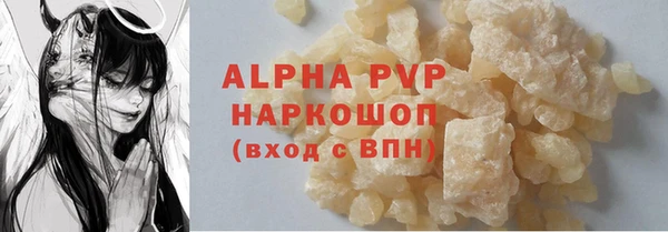ГАЛЛЮЦИНОГЕННЫЕ ГРИБЫ Богданович