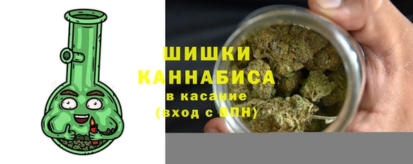 гашик Богородск