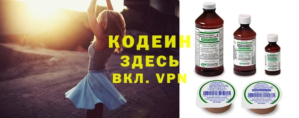 ГАЛЛЮЦИНОГЕННЫЕ ГРИБЫ Богданович