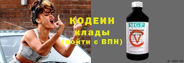 ГАЛЛЮЦИНОГЕННЫЕ ГРИБЫ Богданович