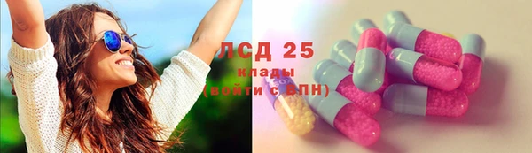 ГАЛЛЮЦИНОГЕННЫЕ ГРИБЫ Богданович