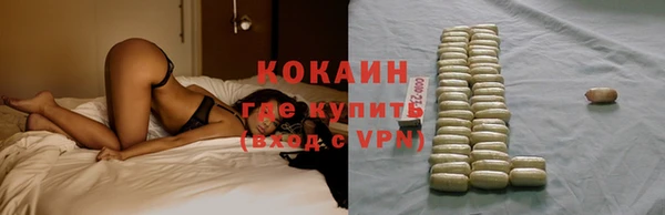 ГАЛЛЮЦИНОГЕННЫЕ ГРИБЫ Богданович