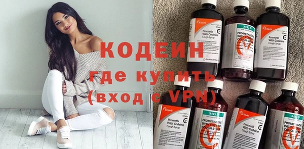 ГАЛЛЮЦИНОГЕННЫЕ ГРИБЫ Богданович