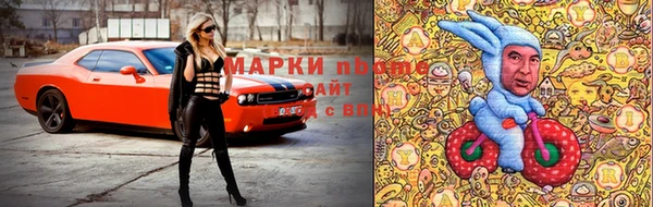 ГАЛЛЮЦИНОГЕННЫЕ ГРИБЫ Богданович