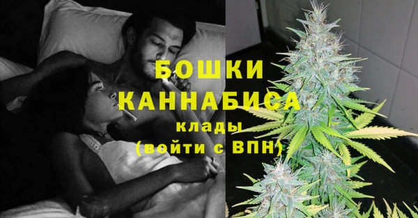 ГАЛЛЮЦИНОГЕННЫЕ ГРИБЫ Богданович