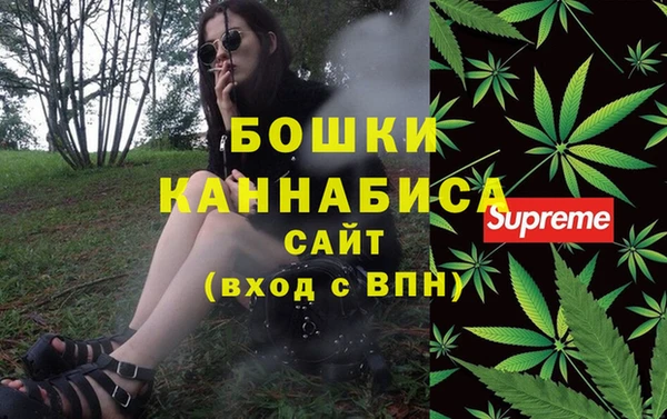 ГАЛЛЮЦИНОГЕННЫЕ ГРИБЫ Богданович