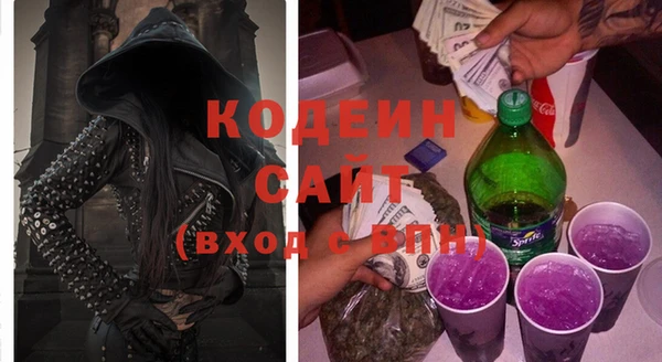 ГАЛЛЮЦИНОГЕННЫЕ ГРИБЫ Богданович