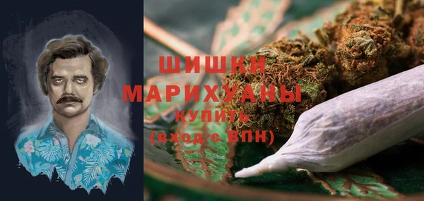 гашик Богородск
