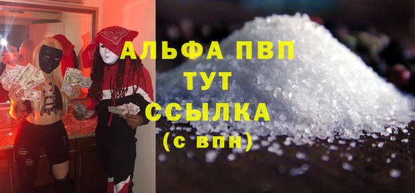 ГАЛЛЮЦИНОГЕННЫЕ ГРИБЫ Богданович